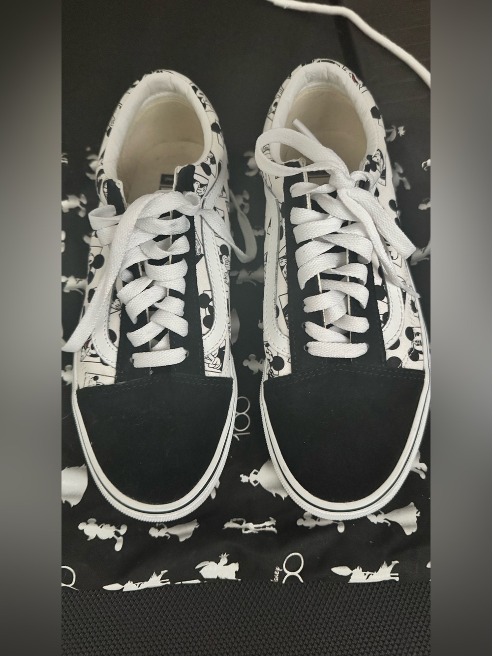 Vans Black and White Skate Sneakers